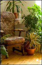 Plant safety